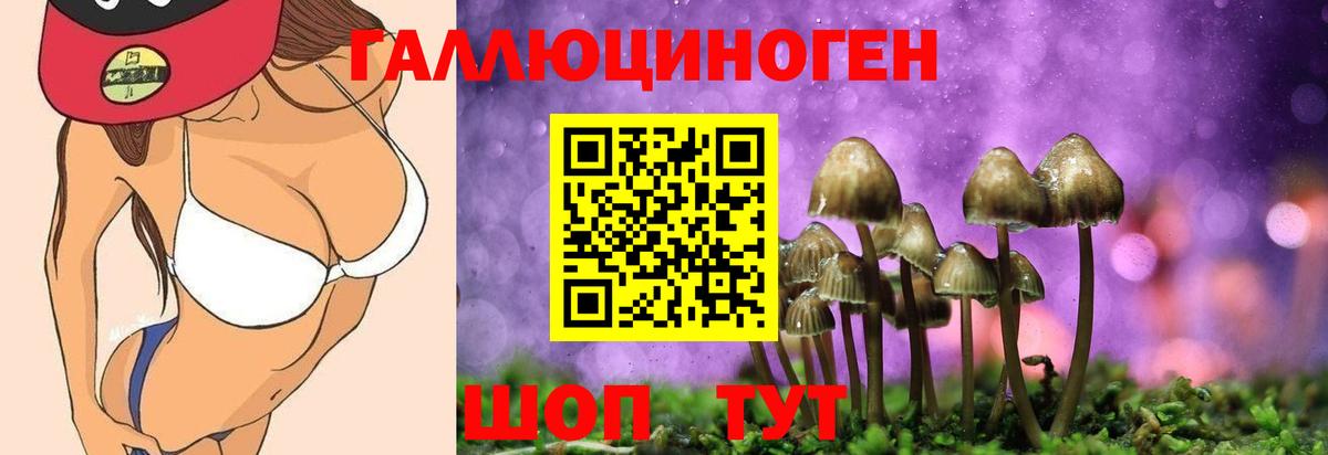 Галлюциногенные грибы мухоморы  Вход с VPN  Алексеевка 